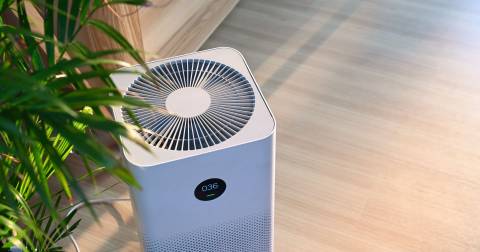 The Best Room Air Purifiers For 2025