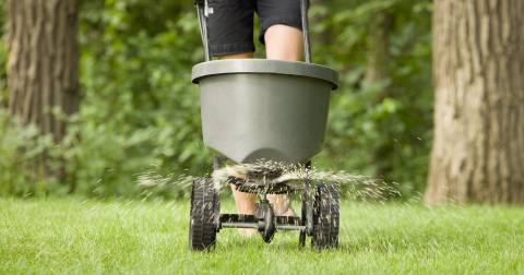 The Best Salt Spreader: Highly Recommended Of 2025