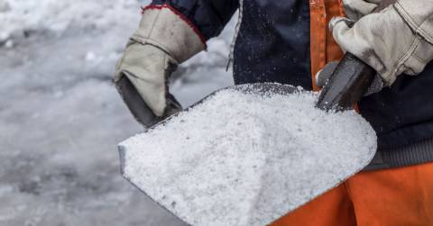 The 10 Best Sidewalk Salt Of 2025, Tested By CampFireHQ