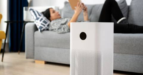 Top Best Single Room Air Purifier Of 2024: Reviews & Buying Guide