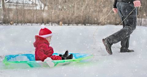 The Best Sled For Toddlers Of 2024: Rankings And Tips For You