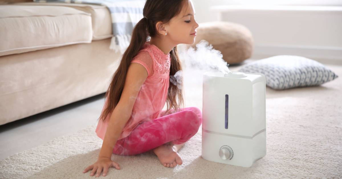 The Complete Guide For Best Small Room Humidifiers Of 2025