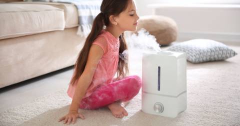 The Complete Guide For Best Small Room Humidifiers Of 2023