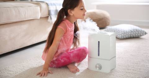 The Complete Guide For Best Small Room Humidifiers Of 2025