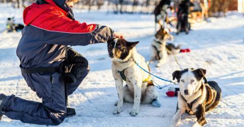 The Best Snow Pants For Husky Boy Of 2025: Great Picks & Buying Guide