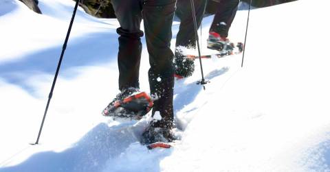 The Best Snowshoes For Deep Snow: Buying Guide 2025