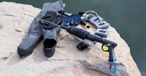 The Best Spearfishing Guns To Buy You Should Know In 2024