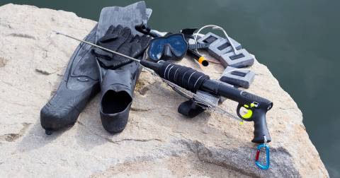 The Best Spearfishing Guns To Buy You Should Know In 2025