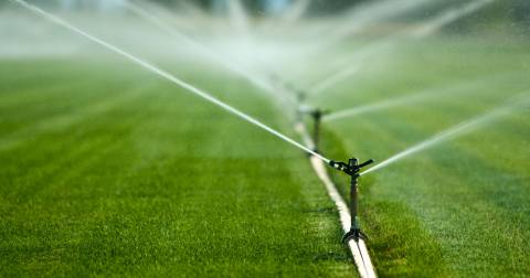 The 10 Best Sprinkler System Of 2024, Researched By Us