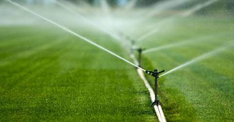 The 10 Best Sprinkler System Of 2025, Researched By Us