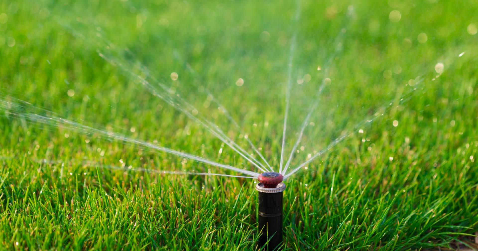 The 10 Best Sprinklers For Lawn Of 2023, Researched By Us