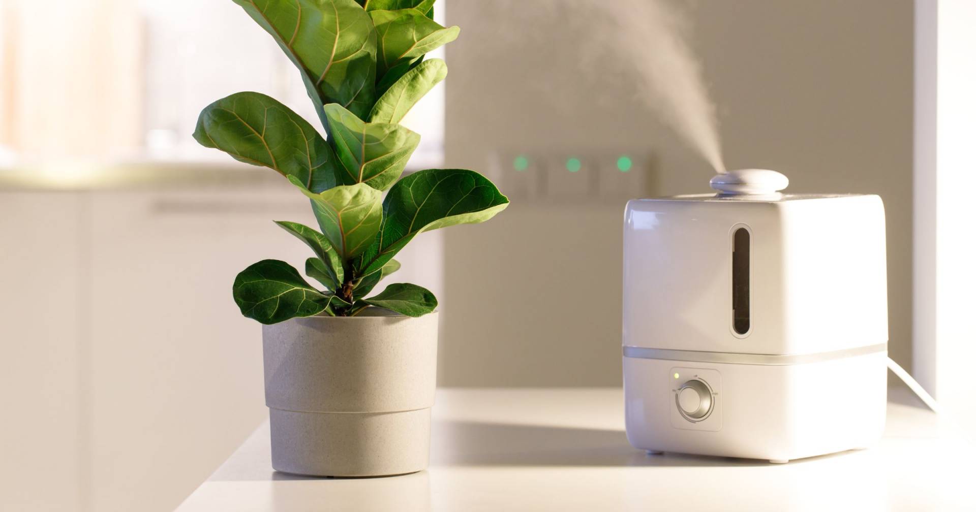 The Best Steam Humidifier For 2025