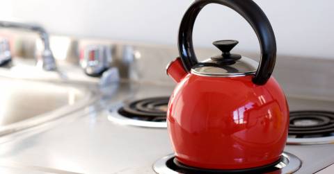 The Best Stovetop Kettle For 2025