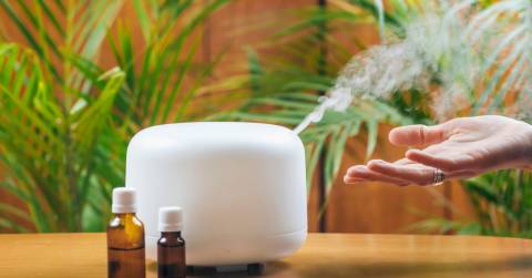 The Best Tabletop Humidifiers In 2025: Best Picks & Guidance
