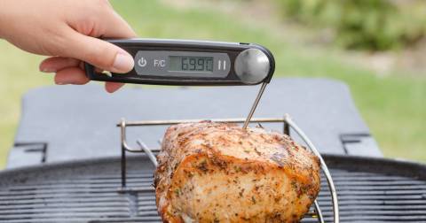 Top Best Thermometer For Smoking Meat Of 2024: Reviews & Buying Guide