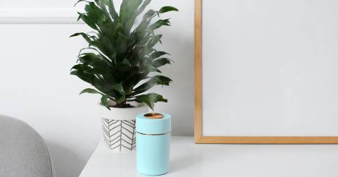 The Best Travel Humidifier: Buying Guide 2024