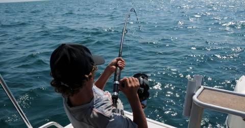 The Best Travel Surf Fishing Rod: Guides & Ranking 2024