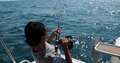 The Best Travel Surf Fishing Rod: Guides & Ranking 2025