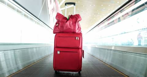 The Best Travel Totes With Luggage Sleeve For 2024