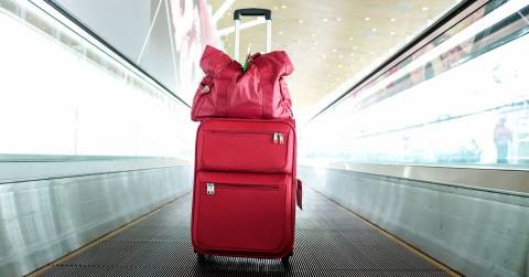 The Best Travel Totes With Luggage Sleeve For 2025