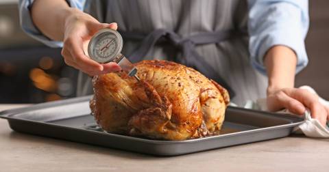 The Best Turkey Thermometer: Buying Guide 2025