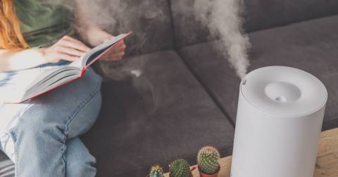 The Best Type Of Humidifier For Allergies: Top Picks & Buying Guides 2024