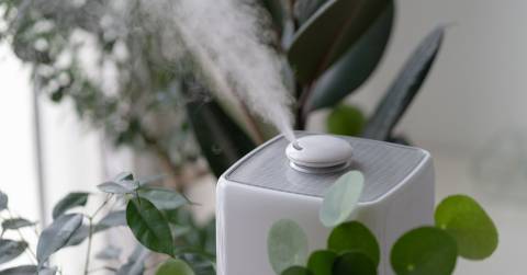 The Best Type Of Humidifier For Congestion In 2024: Purchasing Guidance