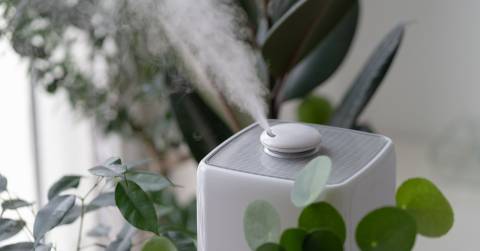 The Best Type Of Humidifier For Congestion In 2025: Purchasing Guidance