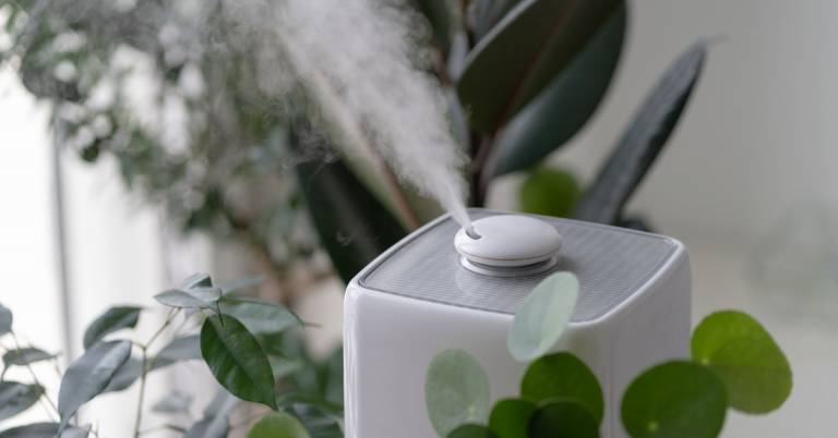 Best Type Of Humidifier For Congestion