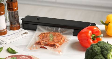 The Best Vacuum Food Sealers Reviews & Buyers Guide In 2024