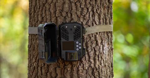 The Best Verizon Cellular Trail Camera For 2025