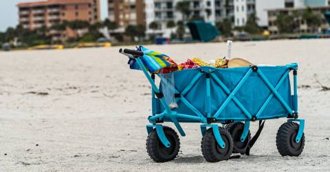 The Complete Guide For Best Wagon For Soft Sand Of 2024