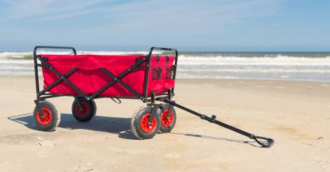 The Best Wagon Stroller For Beach Of 2024: Great Picks & Buying Guide