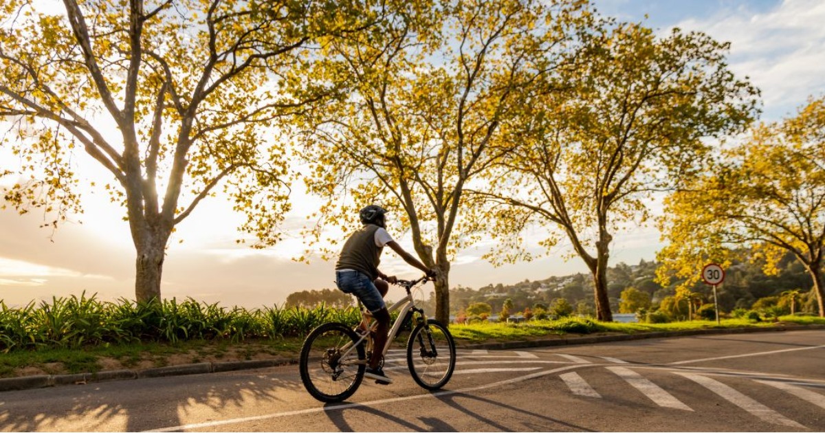 How Fast Can Road Bikes Go? A Detailed Explain