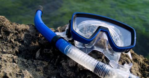 The Easy Snorkel Mask Of 2024: Rankings And Tips For You
