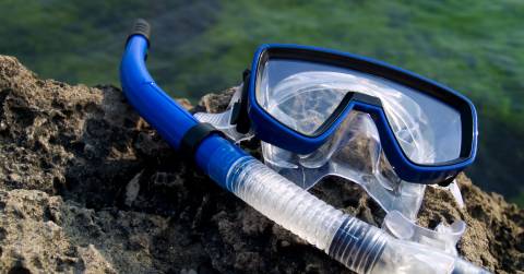 The Easy Snorkel Mask Of 2025: Rankings And Tips For You