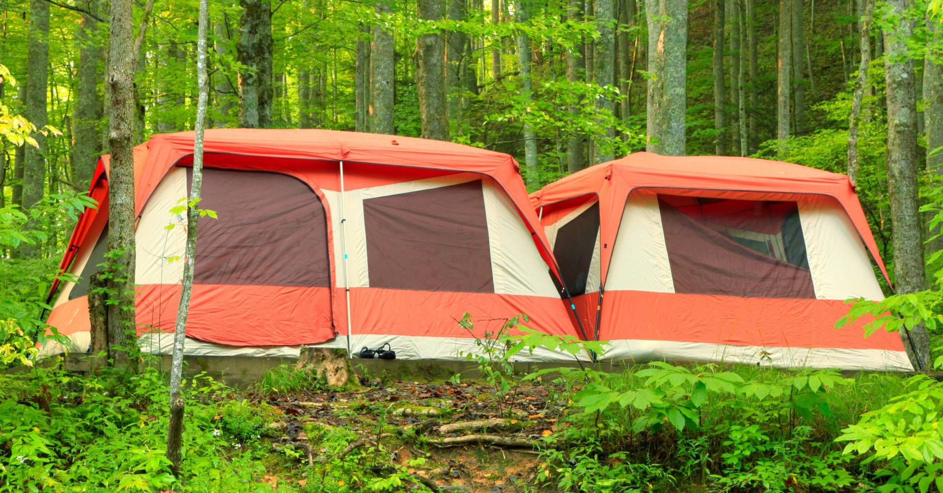 Top Extra Large Family Tents Highly Of 2024