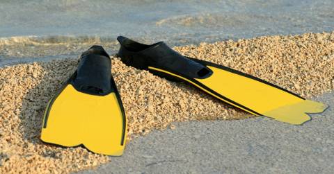 Picking Up Good Snorkeling Fins Of 2024: A Complete Guide