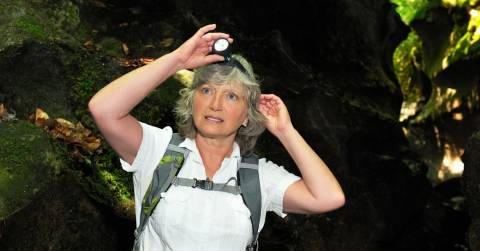 The High Lumens Headlamp: Top Picks & Buying Guides 2025