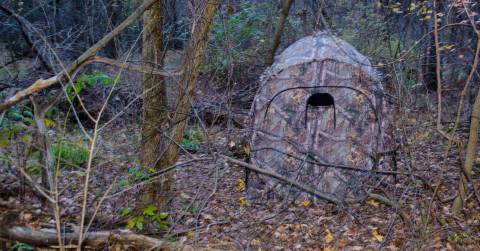 The Lightweight Ground Blind We've Tested: Top Reviews By Experts