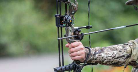 The Most Accurate Hunting Bow - Complete Buying Guide 2024