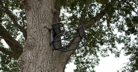 The Most Comfortable Climbing Stand In 2025