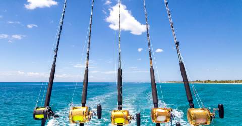 Picking Up Most Durable Fishing Rods Of 2024: A Complete Guide