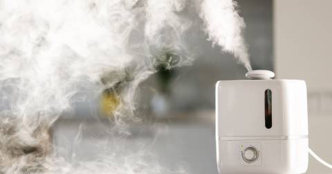 The Most Effective Humidifier In 2024: Top Picks & Buying Guide