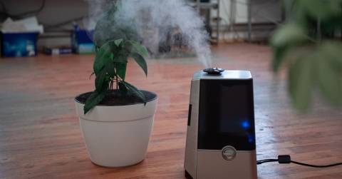 The Most Efficient Humidifiers Of 2024: Great Picks & Buying Guide