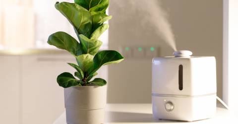 The Most Energy Efficient Humidifier Of 2023: Top-rated And Buying Guide