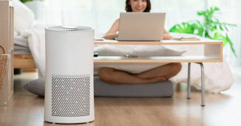 The Most Popular Air Purifier Reviews & Buyers Guide In 2024