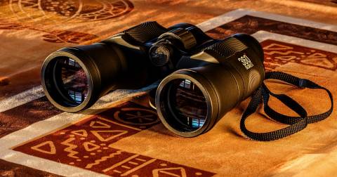 The Most Popular Binoculars: Rankings In 2024 & Purchasing Tips