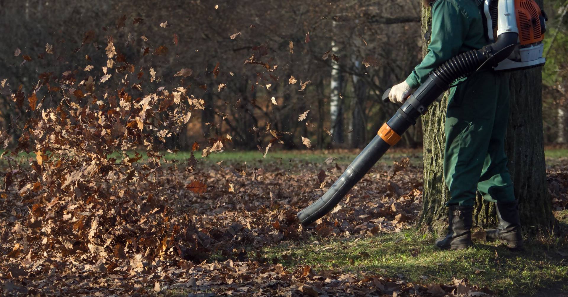 The Most Powerful Battery Leaf Blower In 2024 Great Models To Purchase