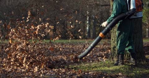 The Most Powerful Battery Leaf Blower In 2024: Great Models To Purchase & Guide